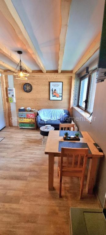 photo de Studio type chalet