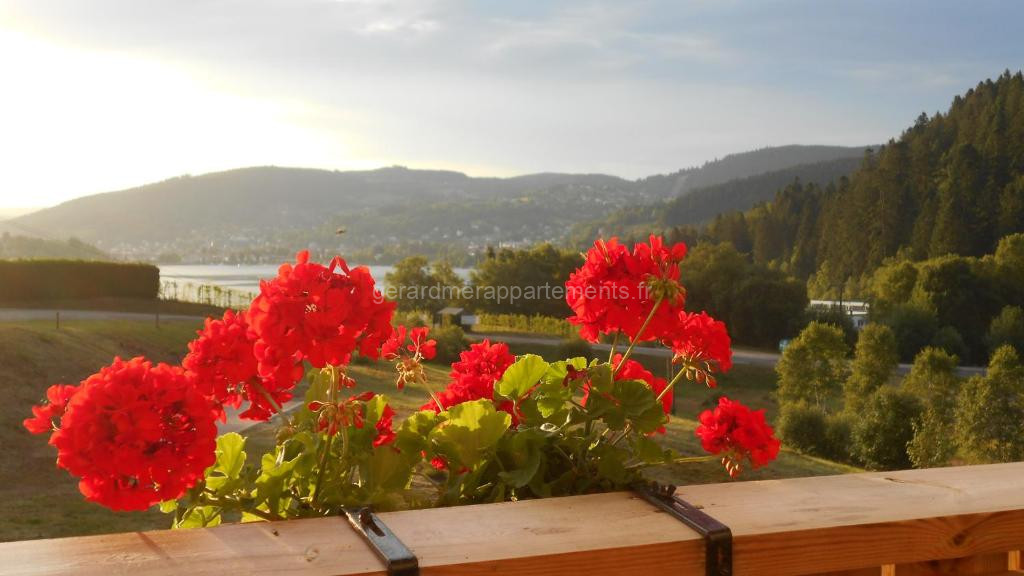 Photo de Gérardmer : appartement 43m2, classé 3*, vue lac