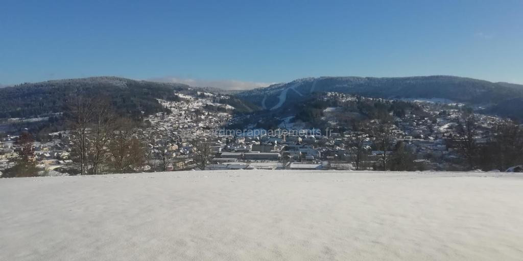 Photo de Les Dryades L'Epicéa