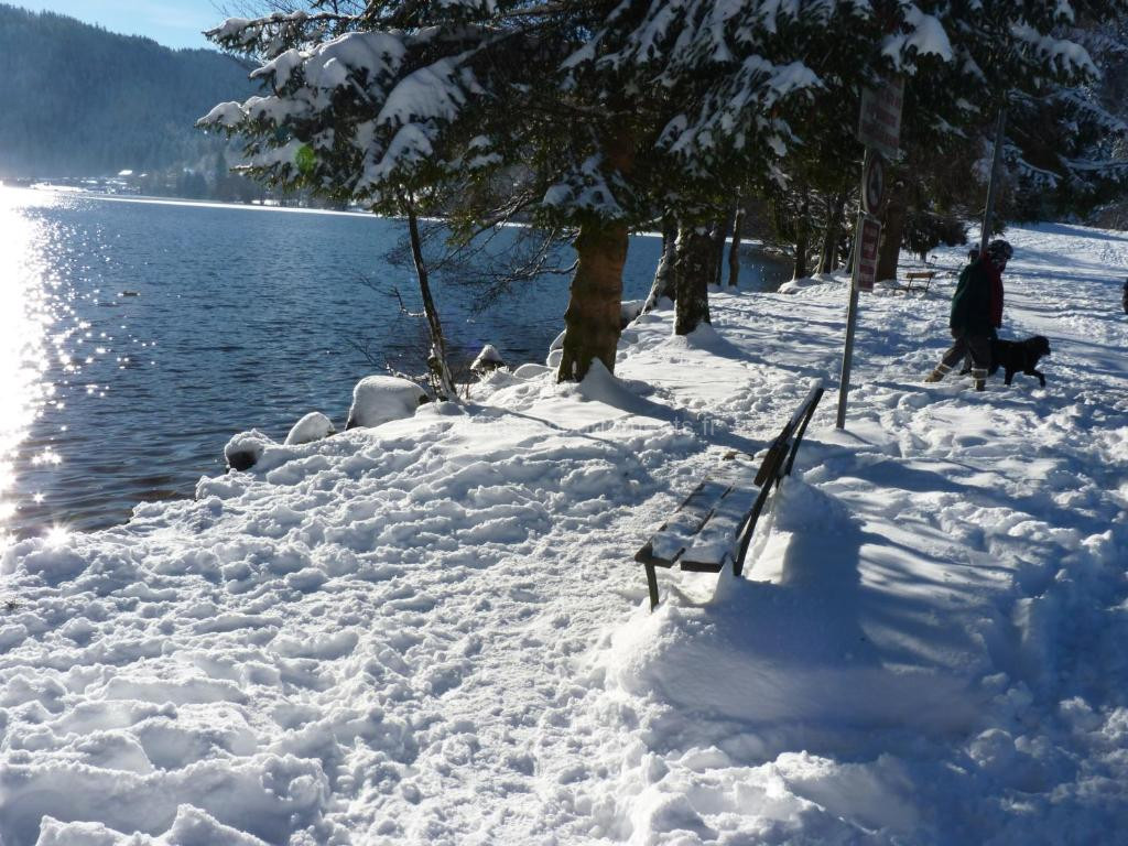 photo de STUDIO HAUTEUR GERARDMER