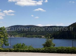 Nouveau loft à moins de 100m du lac classé 2 étoiles à Gérardmer