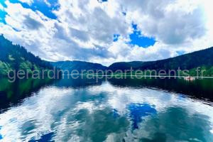 Beautiful T3 close to the slopes à Gérardmer