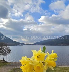 Les yeux du lac à Gérardmer