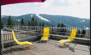 Appartement sur les hauteurs de Gérardmer à Gérardmer