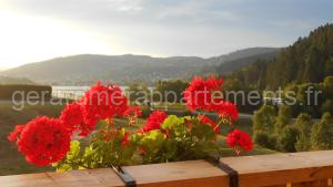 Gérardmer : appartement 43m2, classé 3*, vue lac à Gérardmer