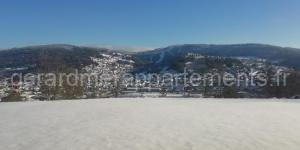 Les Dryades L'Epicéa à Gérardmer