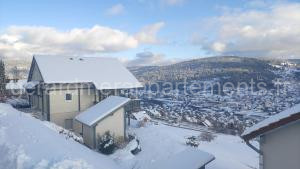 Duplex Estelle - 2 couples ou famille à Gérardmer