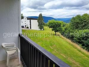 Le Seydrad, appartement vue nature, hauteurs de Gérardmer à Gérardmer