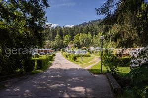 Camping Les Granges Bas - Tiny House - Lodges - Mobilhomes à Gérardmer