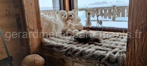 L'instant chalet Lodge 17 à Gérardmer