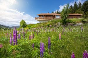 Chalet Dyna, luxe, calme et sérénité à Gérardmer