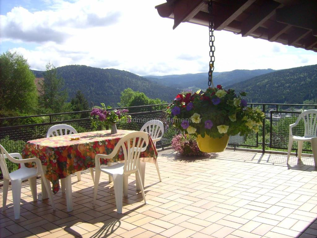 Photo de Gîte fonctionnel avec terrasse et vue, Gérardmer - FR-1-589-402