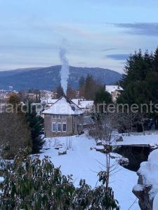 Villa sans soucis à Gérardmer